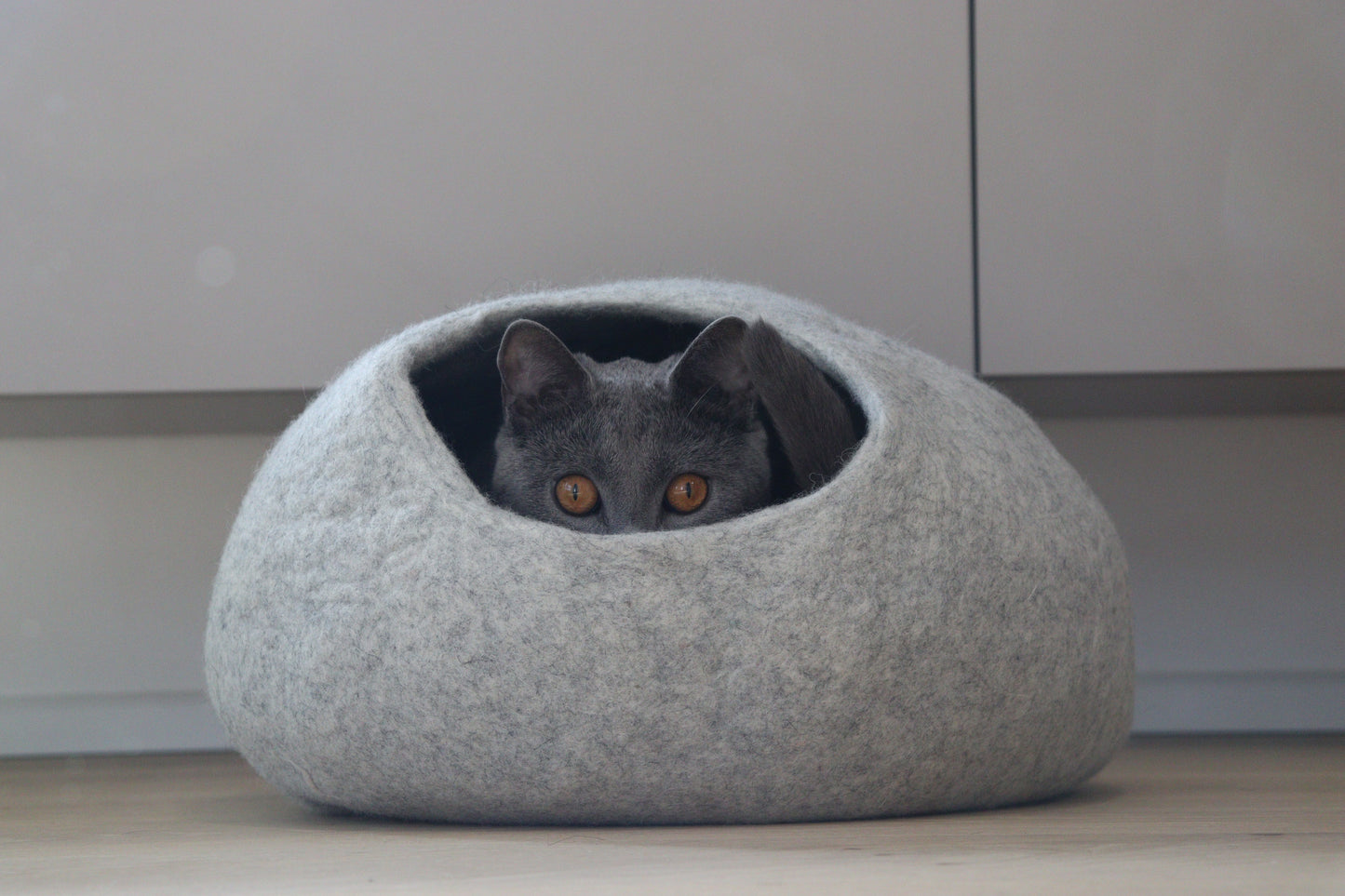 Nest