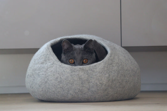 Nest