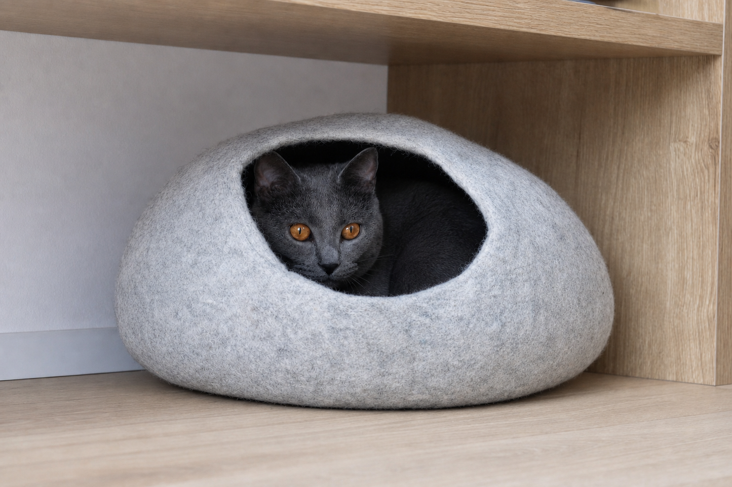 Nest